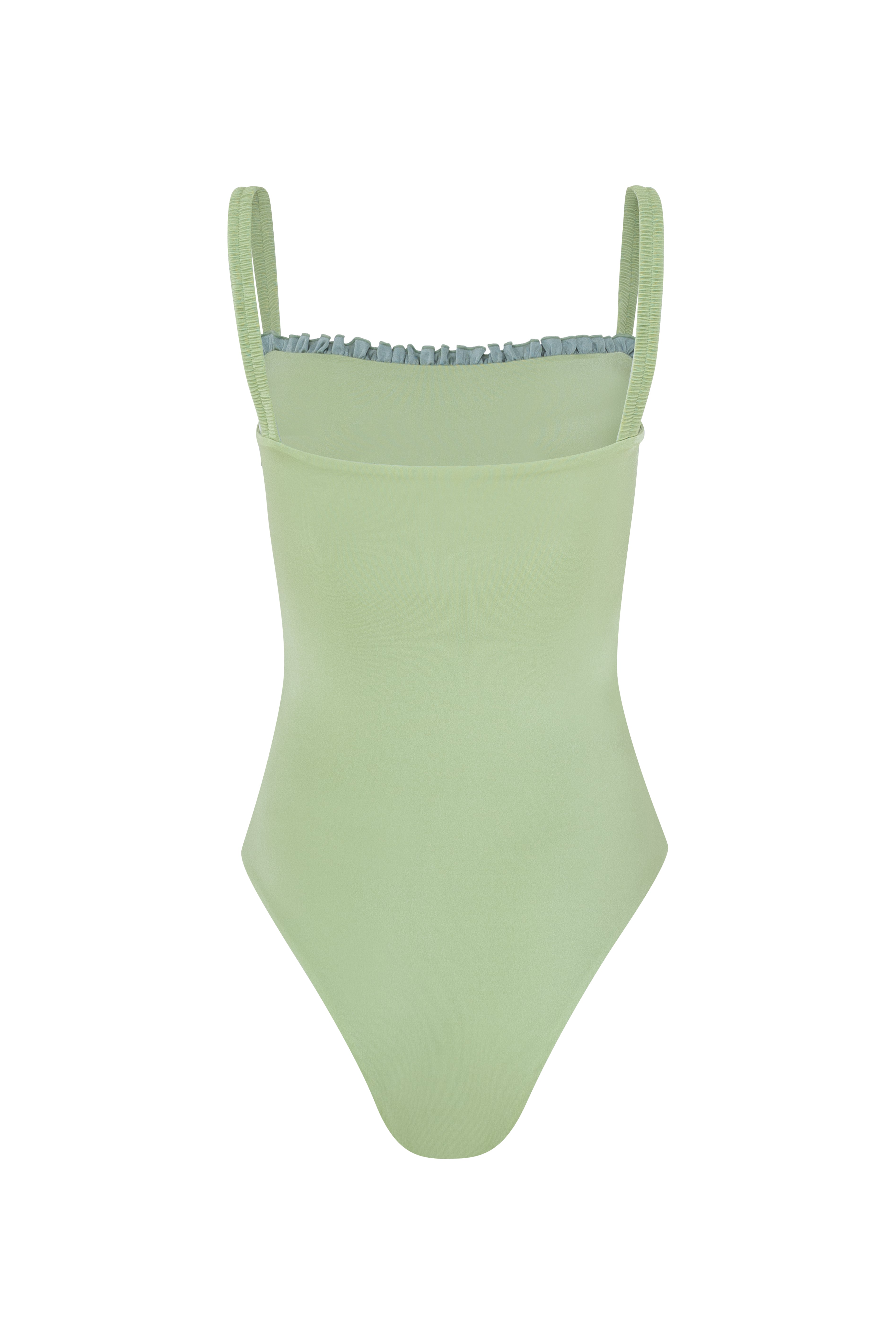 Shiny Sage Rio Swimsuit