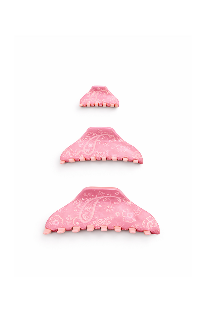 Pink Paisley Claw Clip Set
