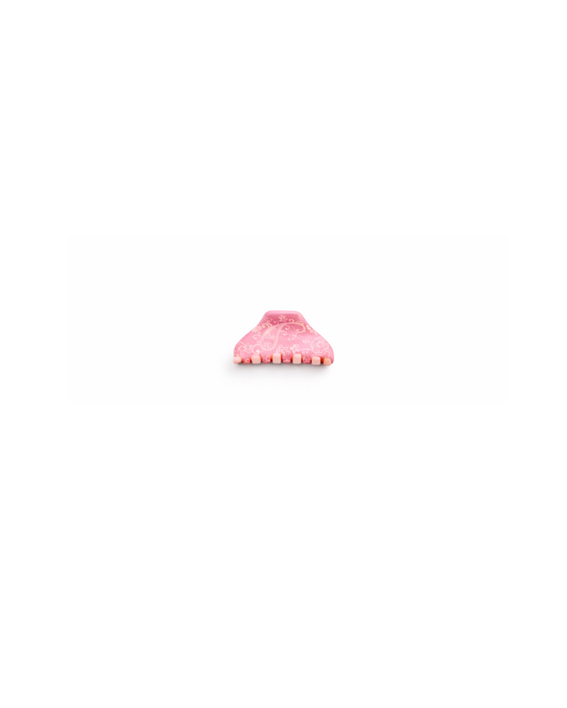 Pink Paisley Mini Claw Clip