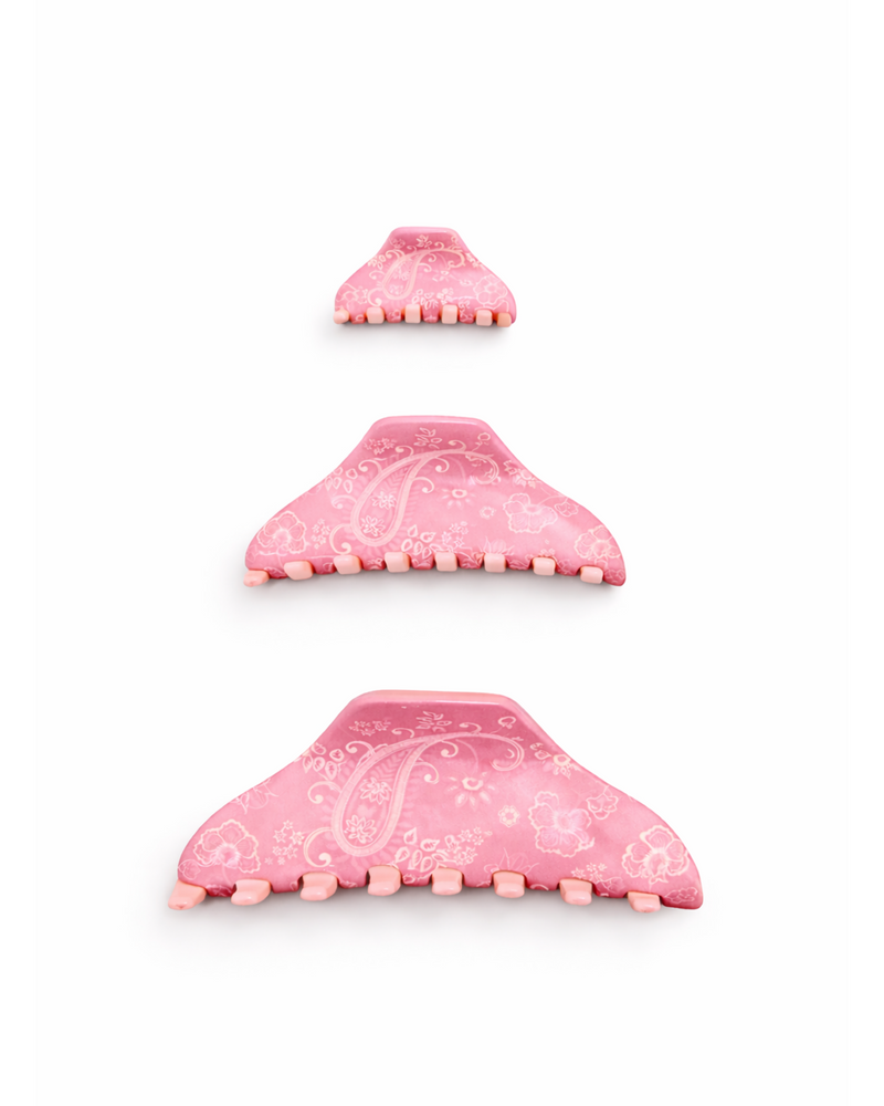 Pink Paisley Claw Clip Set