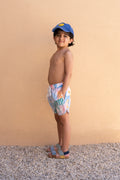 Zebra Boys Shorts