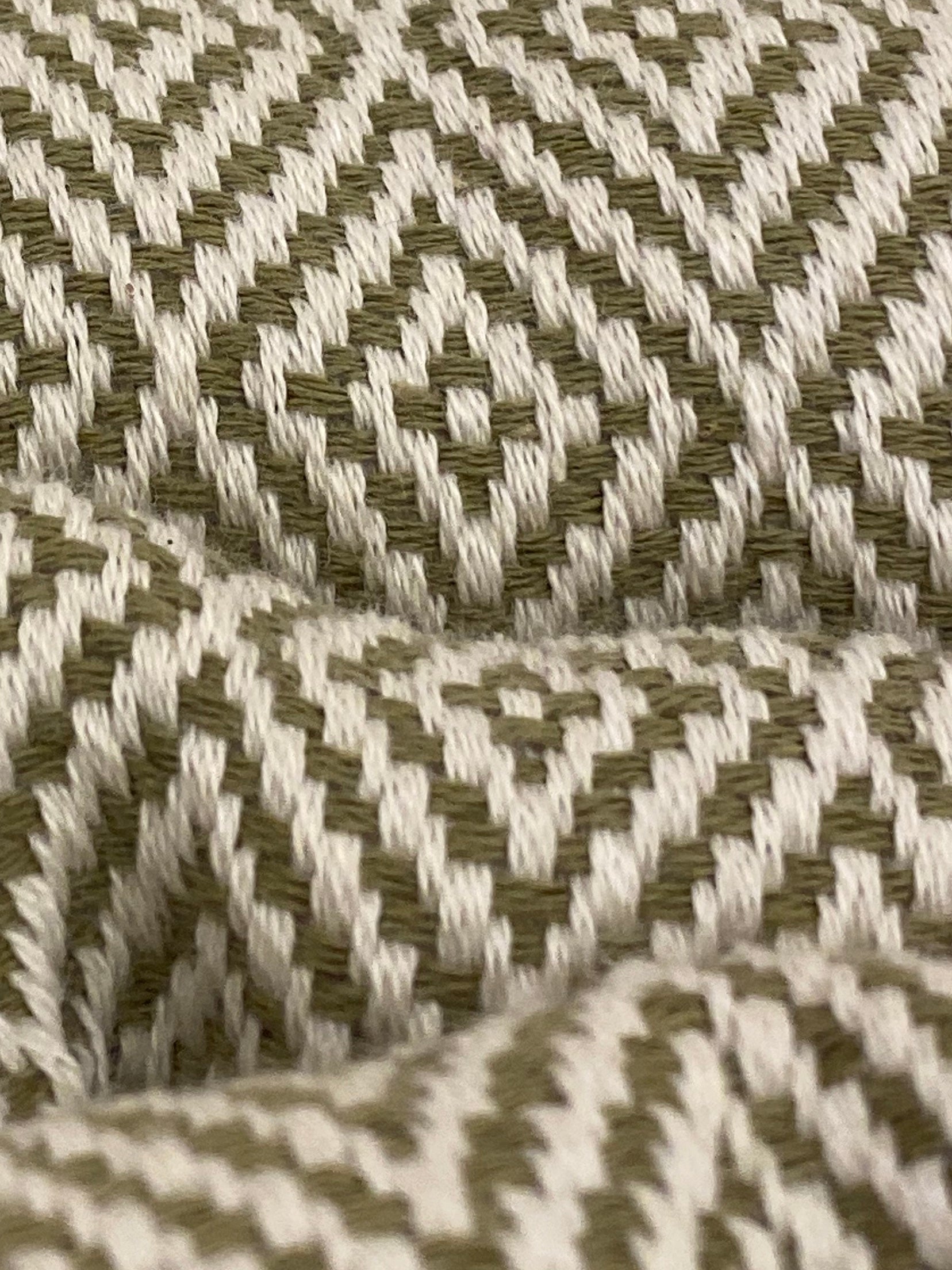 Khaki Sasha